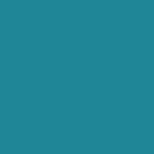 534G Turquoise (1.23X50M)