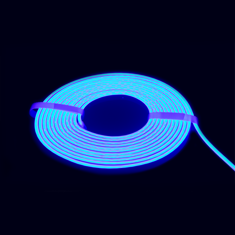 Neon LED Strip 5M (Blue)