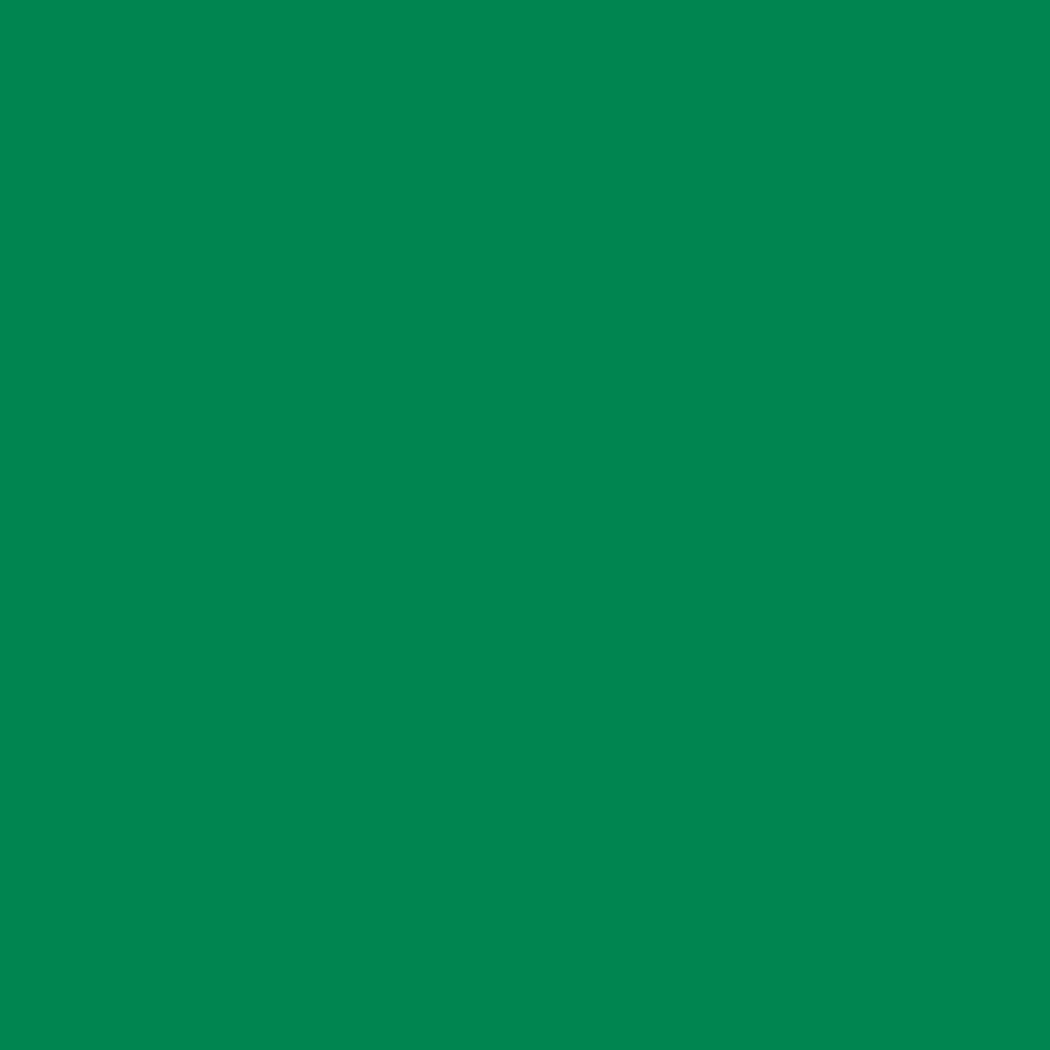 506G Cactus Green (1.23X50M)