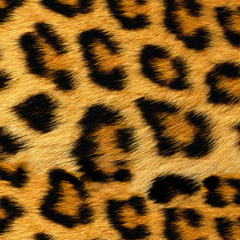 EasyPatterns Plus Wild Leopard (0.30X10M)